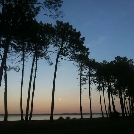 Centre Duplex Avec Terrasse 6 Personnes *