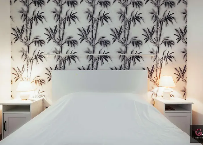 Apartamento Centre Duplex Avec Terrasse 6 Personnes *