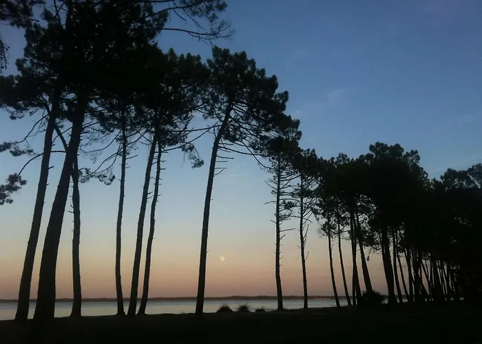 Centre Duplex Avec Terrasse 6 Personnes *