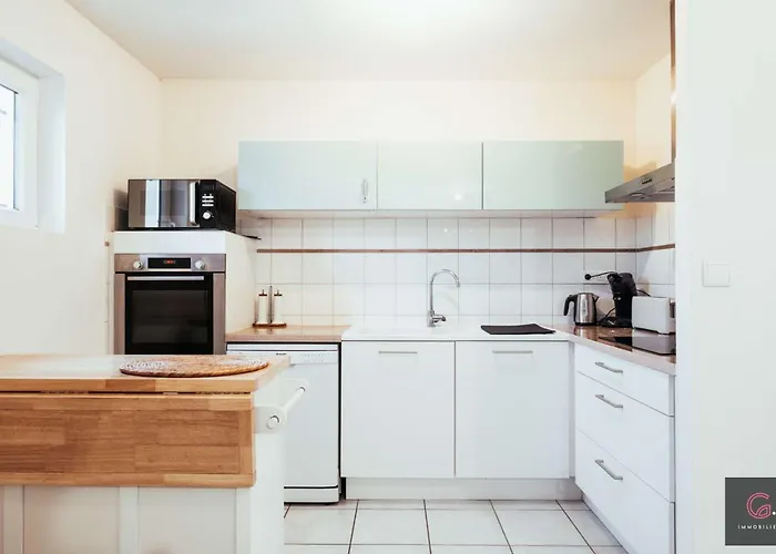 Centre Duplex Avec Terrasse 6 Personnes